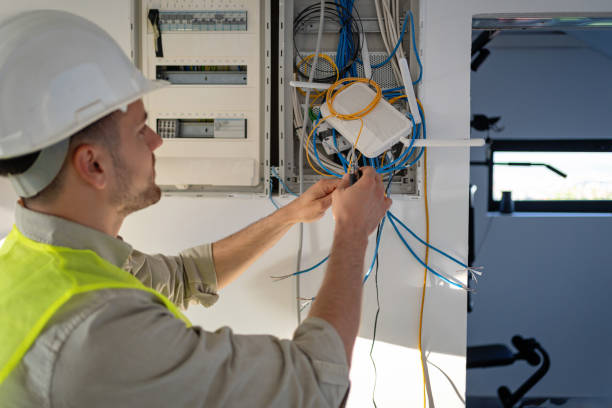 Best Electric Panel Repair  in Celina, OH